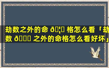 劫数之外的命 🦋 格怎么看「劫数 🐞 之外的命格怎么看好坏」